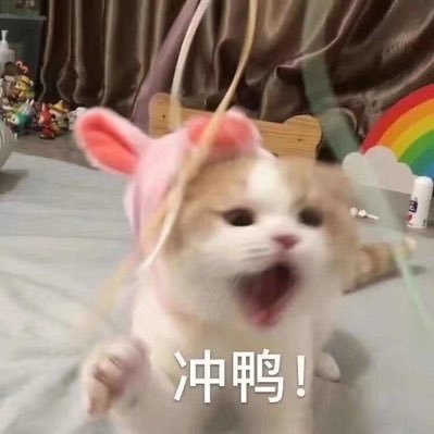 @jixiaotuxxx profile picture