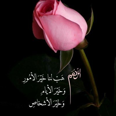 @MmAaGgRrBb profile picture