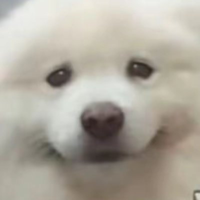 @yqpl264946 profile picture