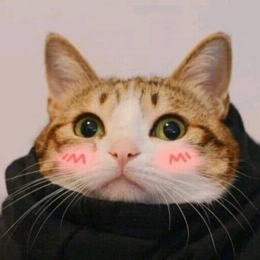 @Mrdsaii profile picture