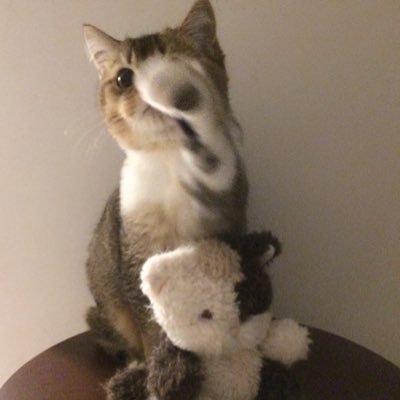 @llllll7758258 profile picture