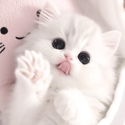 @oasa888 profile picture