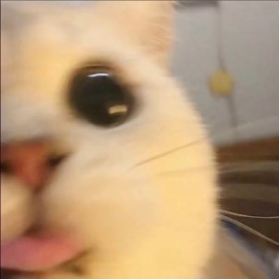 @Maofb2b profile picture