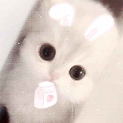 @Kcoir7 profile picture
