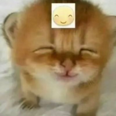 @DoNotDeceiveMe profile picture