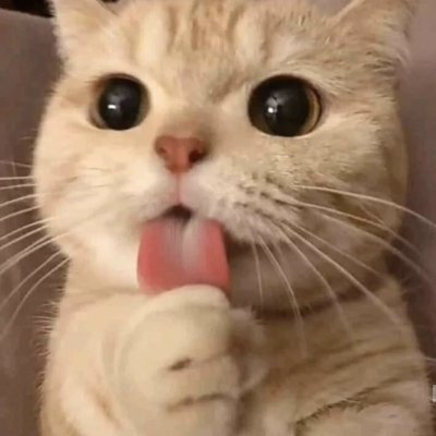 @swqqsw profile picture