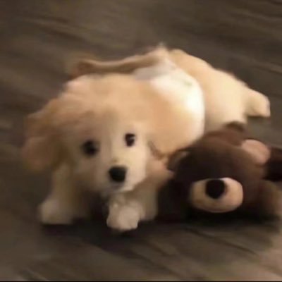 @feitu668 profile picture