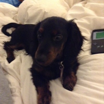 @Vego_Fre32785 profile picture